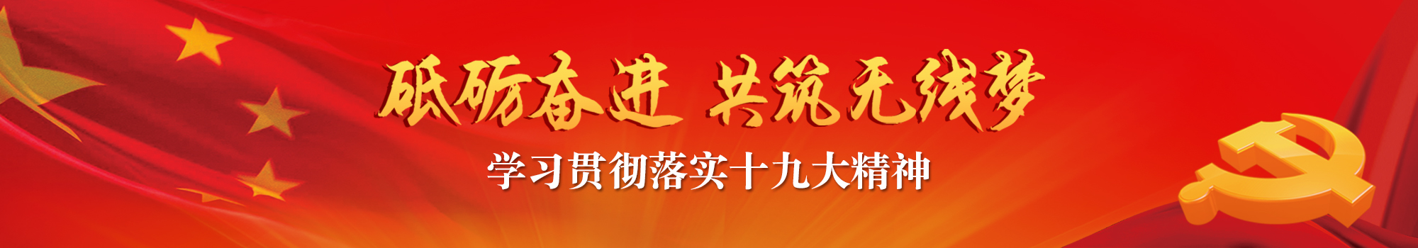 学习贯彻落实十九大精神