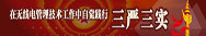 三严三实