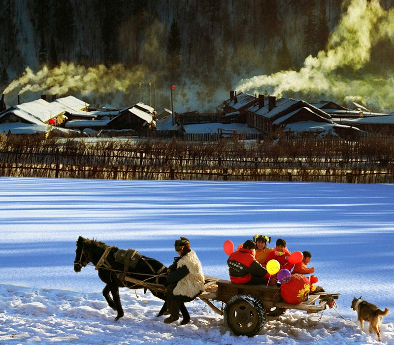 (二等奖)采年货归来-佟伟元-沈阳市崇山东路七十九号辽宁中医药大学