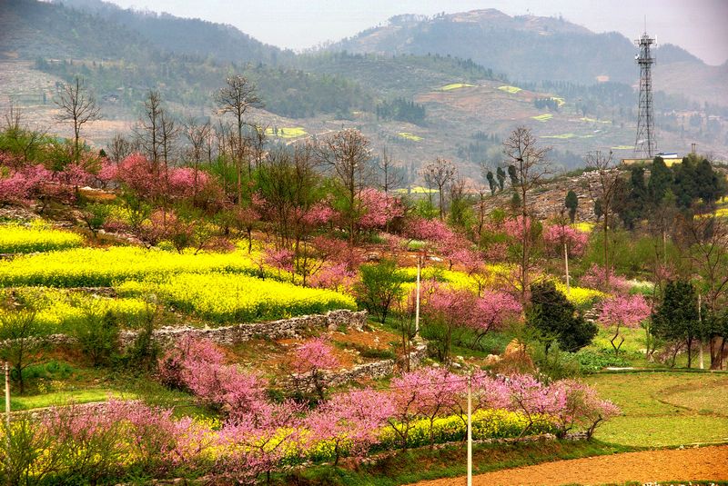 山村新貌-梁钧棠