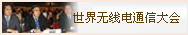 2012世界无线电通信大会